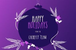 CacheFly Social Media